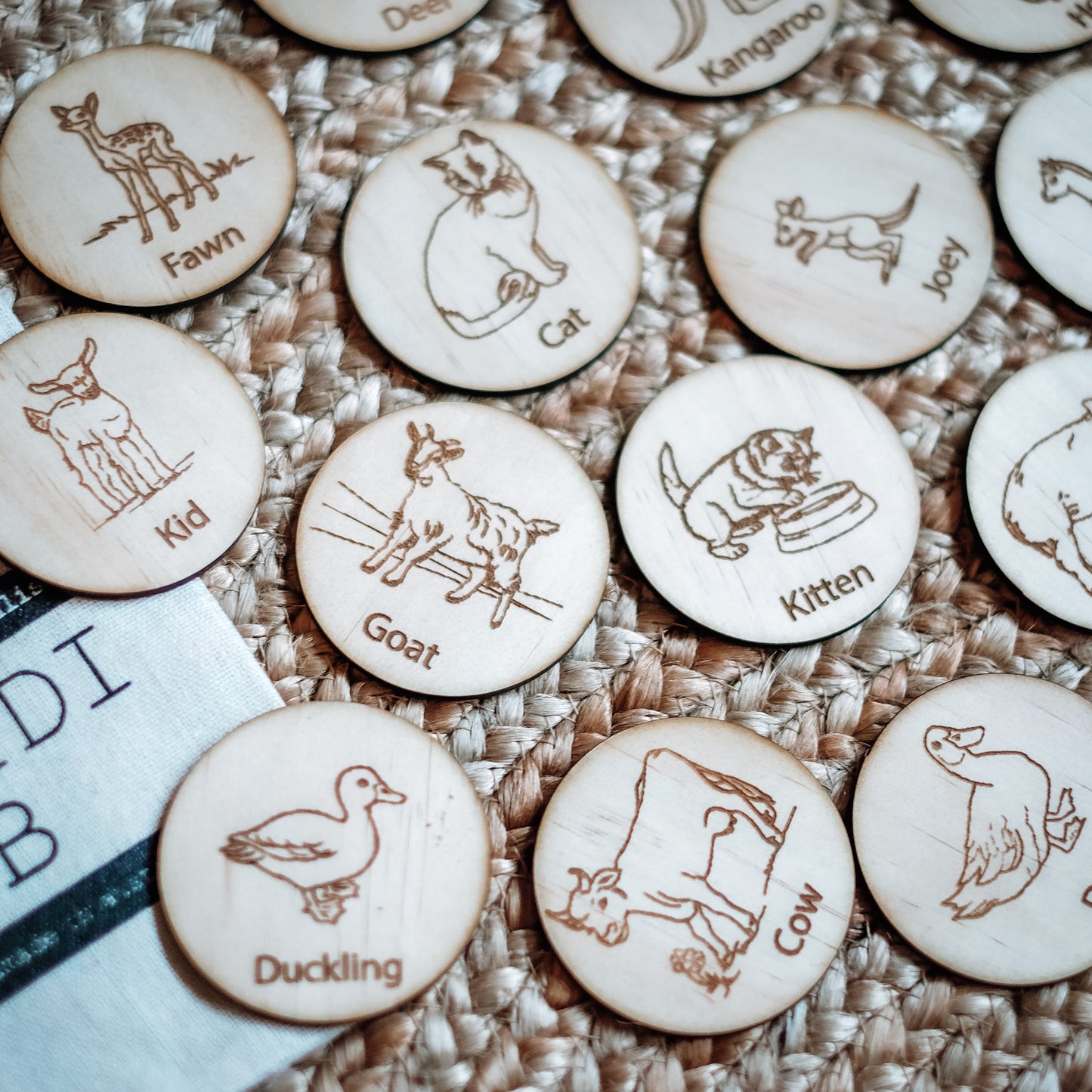 Memory Game - Animals and their young