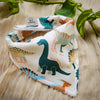 Dinosaurs