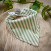Sage Stripes