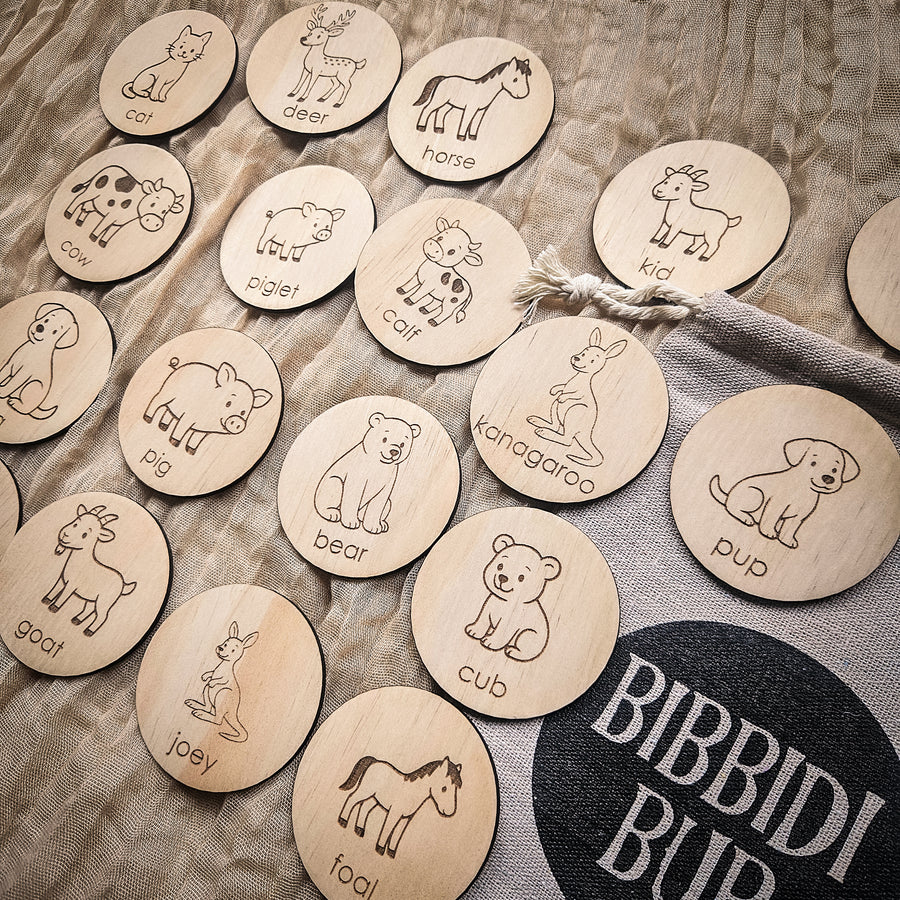 Memory Game - Animals and their young