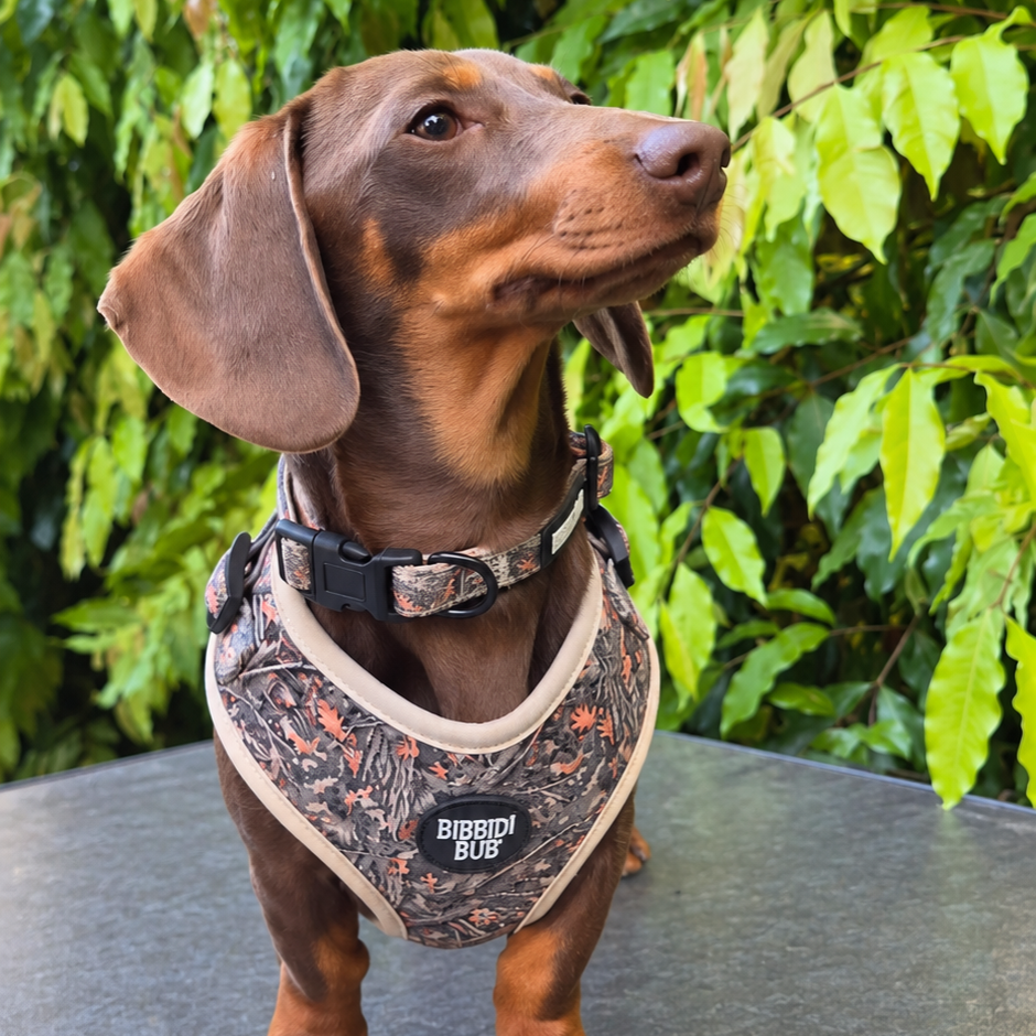 Dog Harness Camo