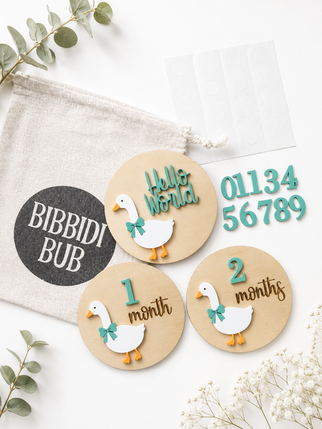 Interchangeable Baby Milestone Plaques - Silly Goose