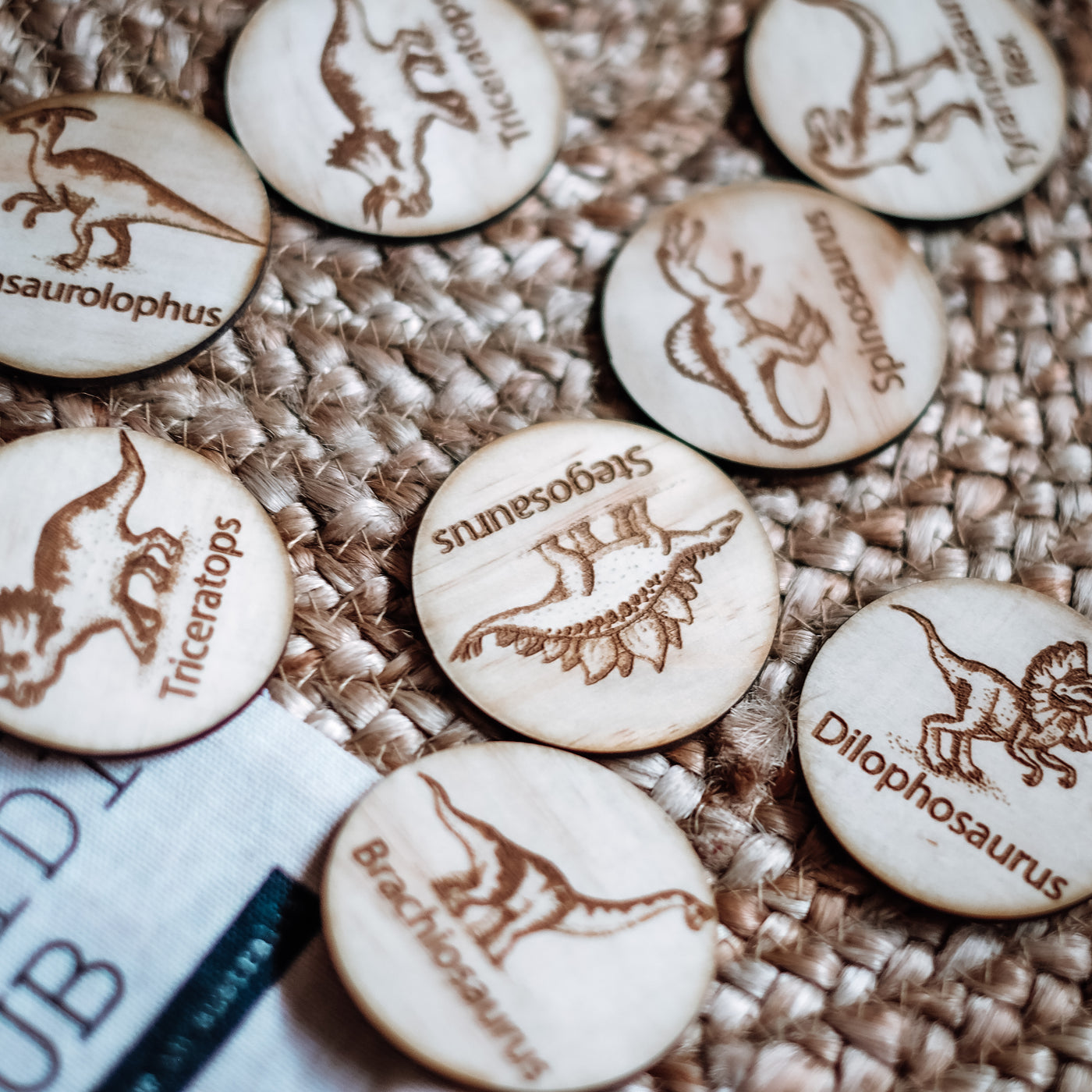 Memory Game - Dinosaurs