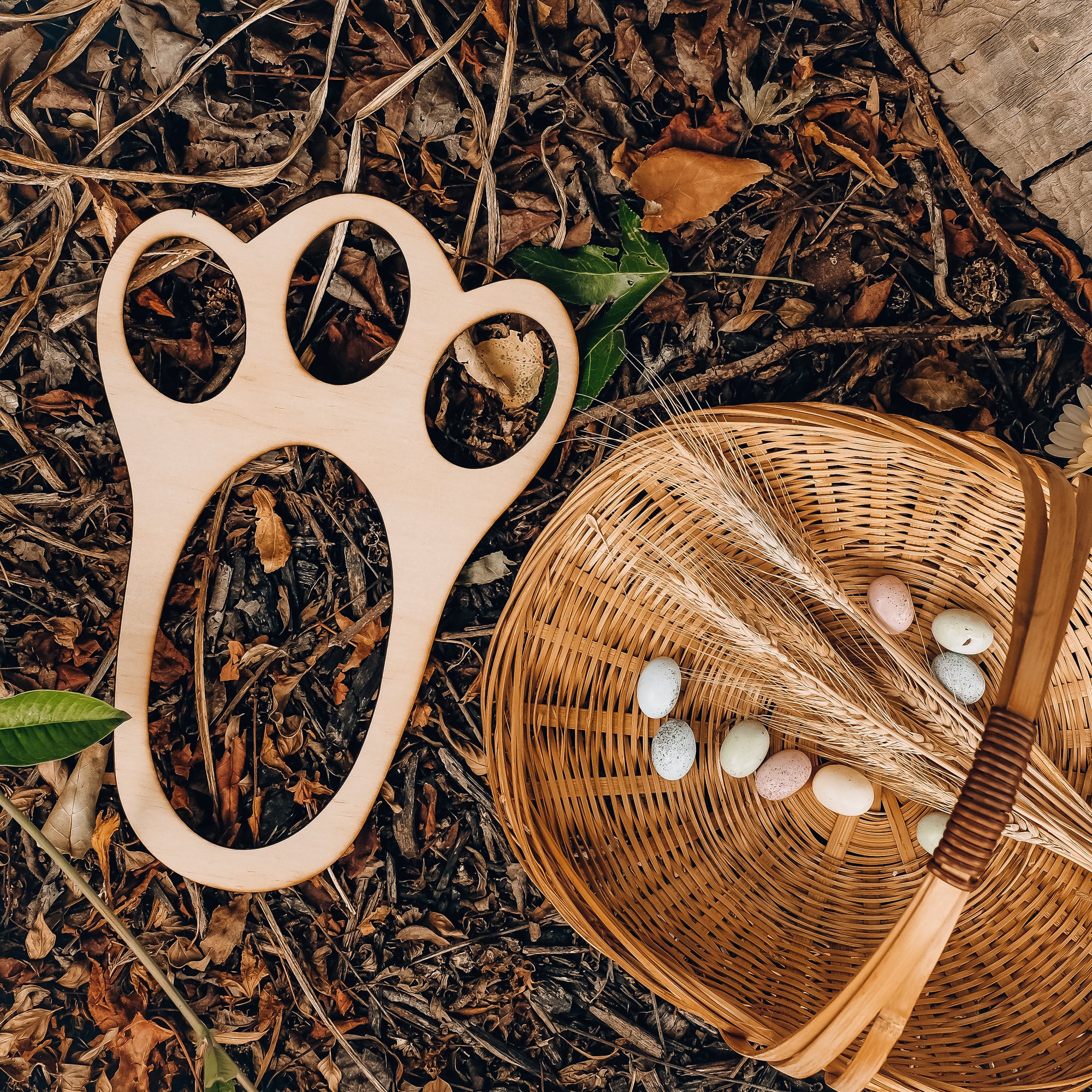 Easter Bunny Footprints